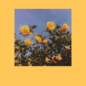 Meet your Posher, Mackenzie